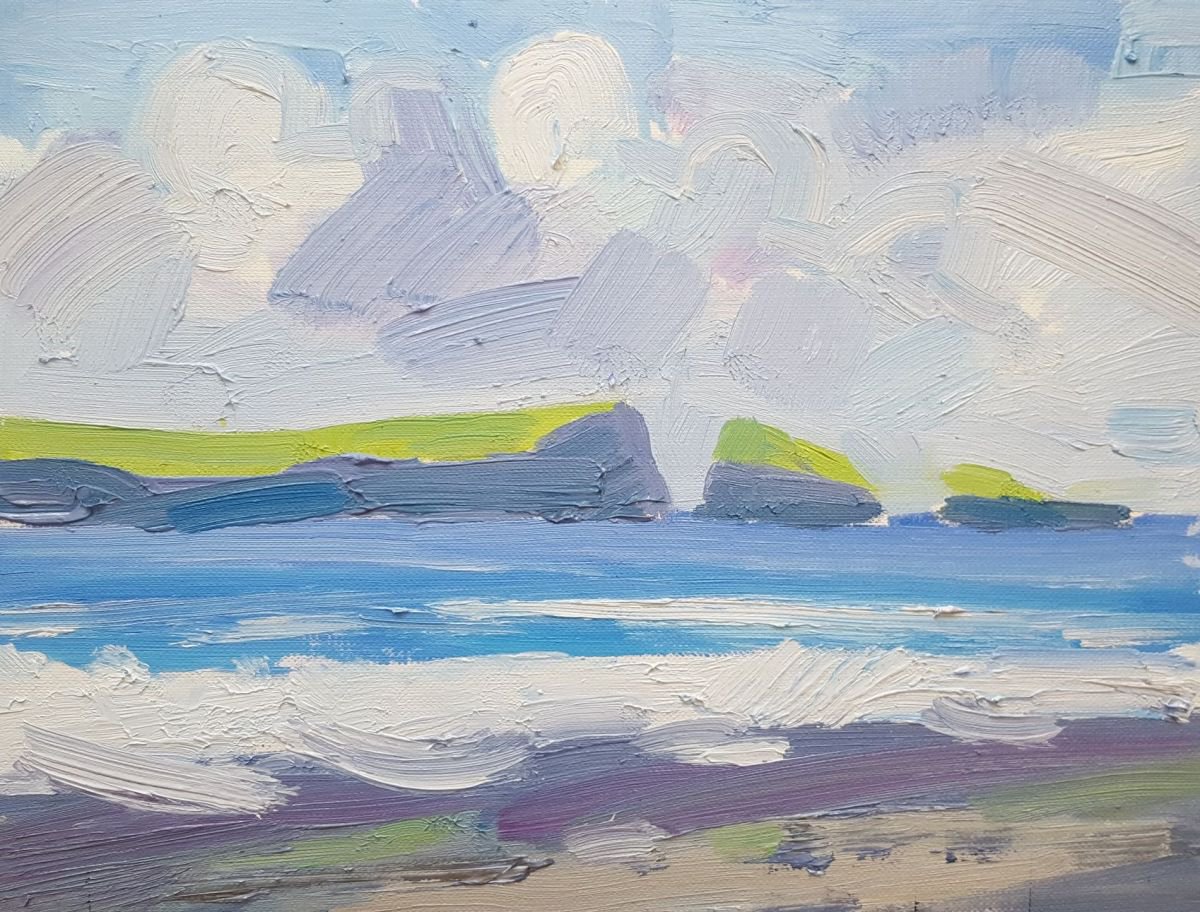 Caldey Island (Study) by David Pott