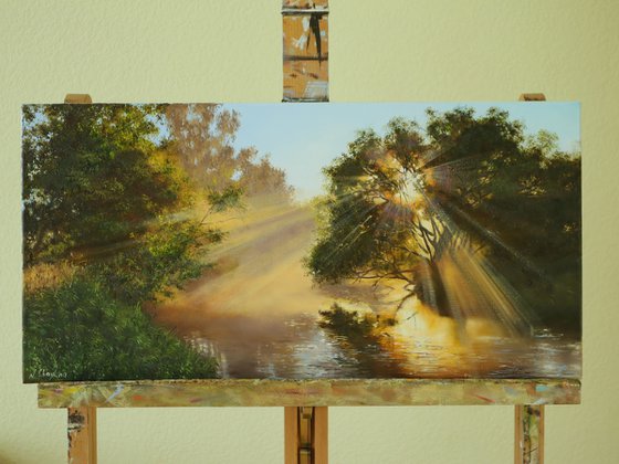 Sunlight Through Trees