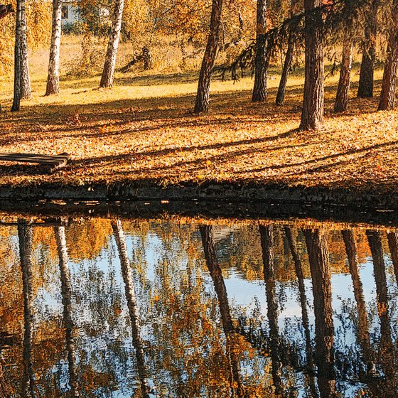 Autumn in the park.