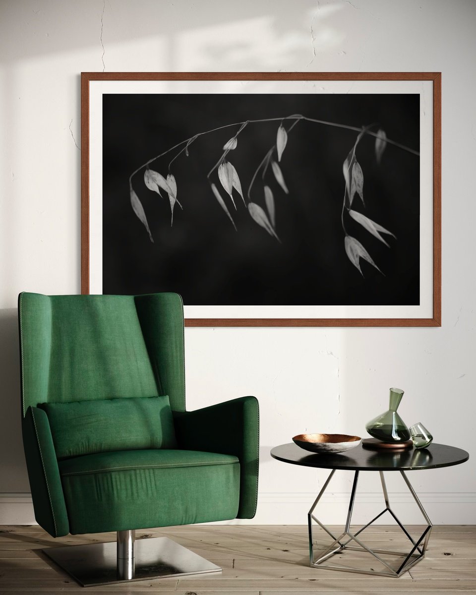 Botanical Photograph By Tal Paz-Fridman, 62 X 42", In Light Of Current Events Ii, Original Artwork