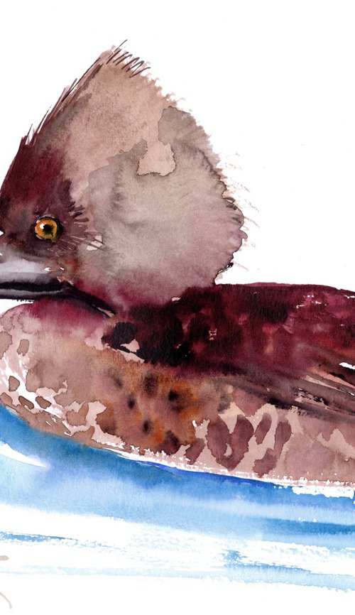 Hooded Merganser Duck painting by Suren Nersisyan