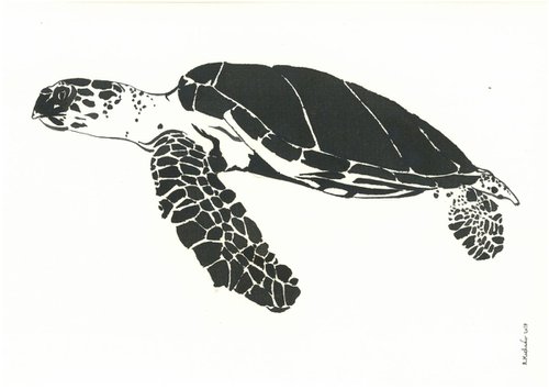 Turtle I Animal Drawing by Ricardo Machado