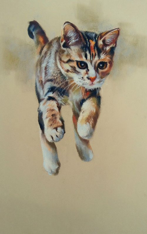 Kitten Max by Magdalena Palega