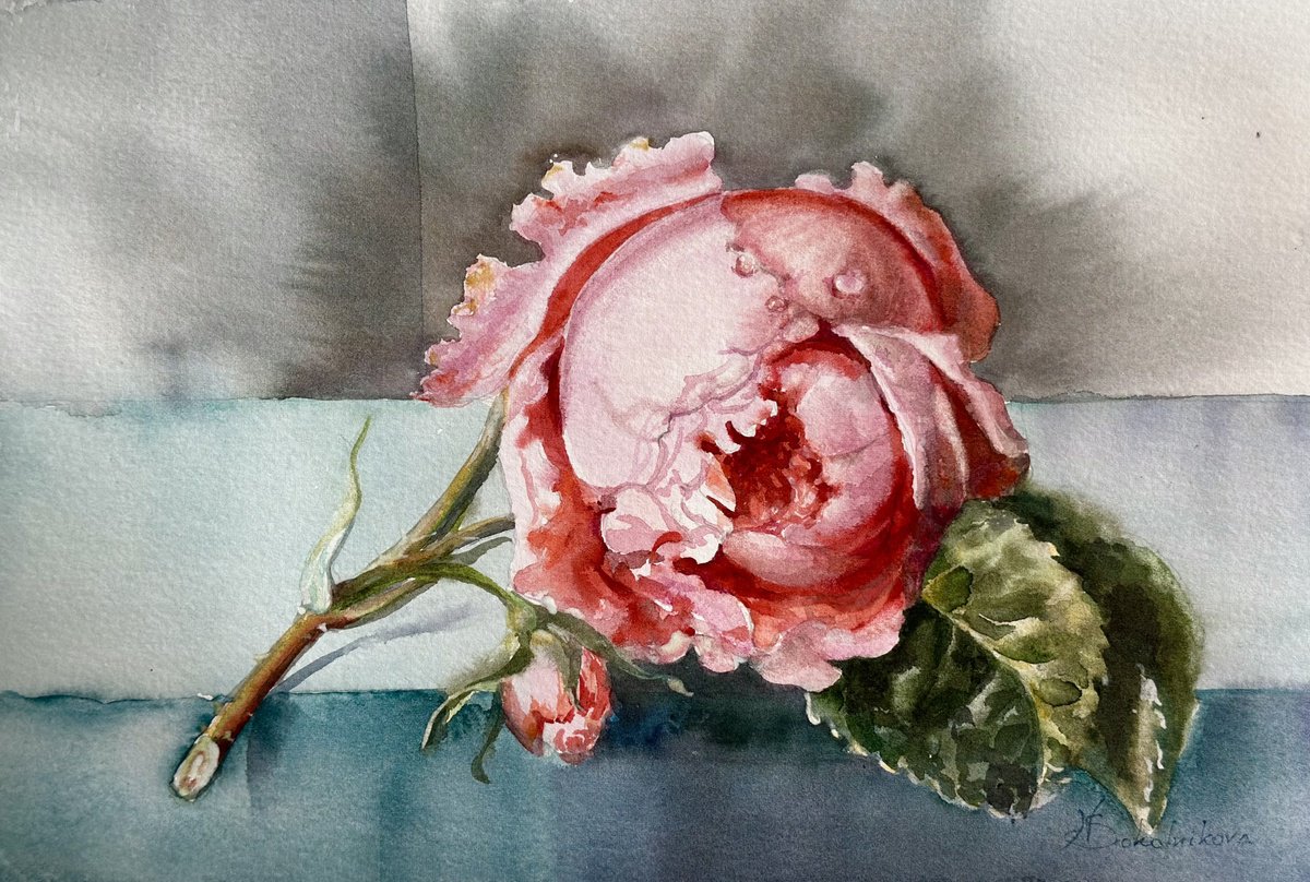 Photorealistic Botanical Watercolour By Sonata Art, 16 X 12", Watercolor Rose Queen, Original Artwork