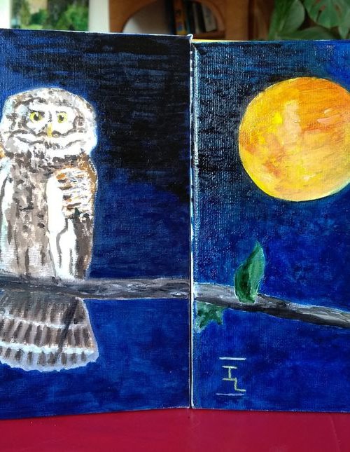 2 owls for a diptych by Isabelle Lucas