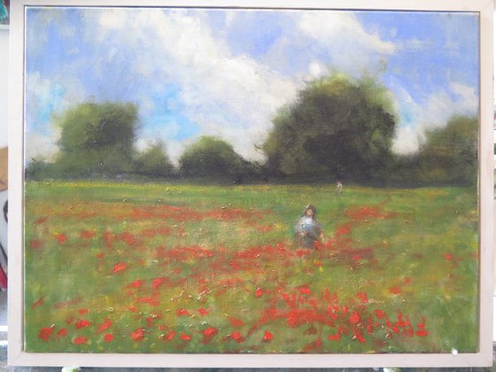 Poppy field near York 1.