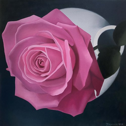 Rose In A White Vase by Jill Ann Harper