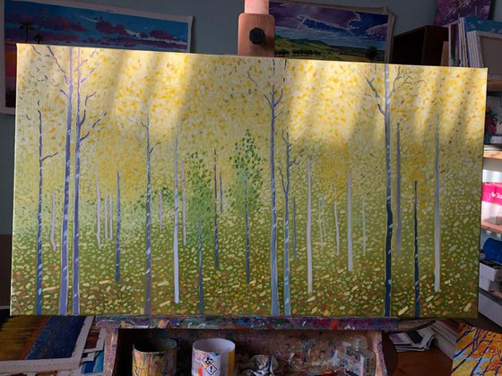 Yellow birches