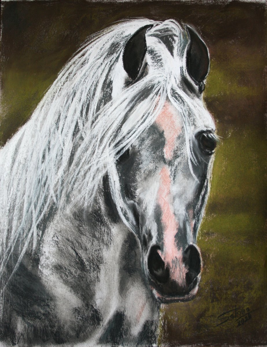 Impressionistic Pastel Drawing , Horse... Portrait I By Salana Art / Svetlana Samovarova, 12 X 15, Artwork For Sale On Artfinder