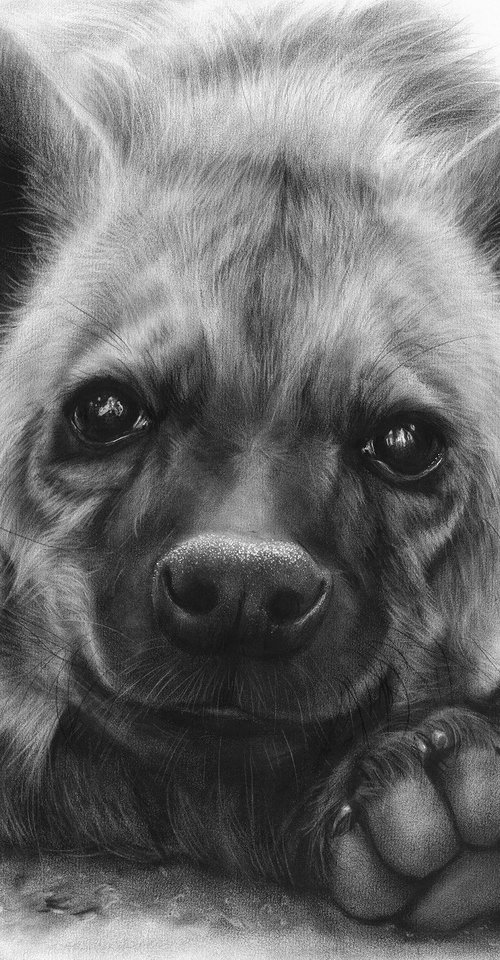 Adorable Hyena by Danguole Serstinskaja