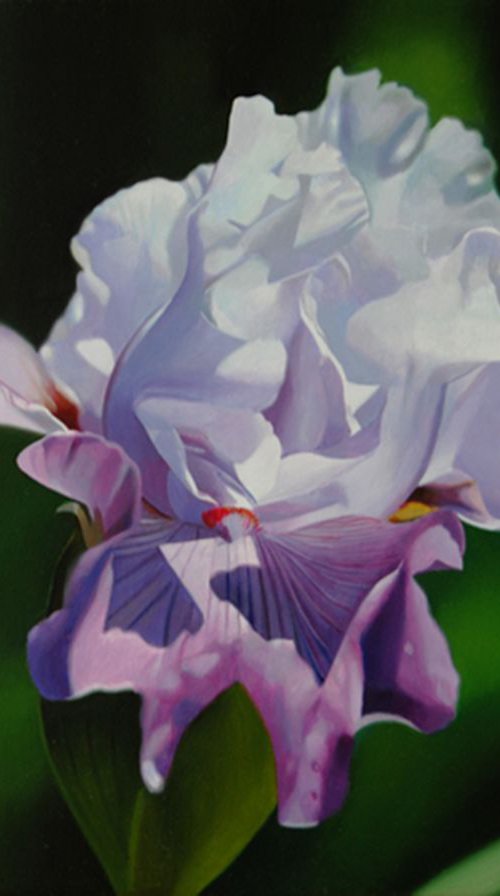 Iris, Flower painting by Valeri Tsvetkov