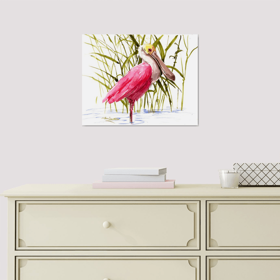 Roseate Spoonbill