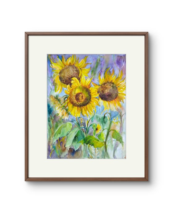 Among the Sunflowers