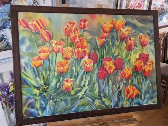 Tulips#4