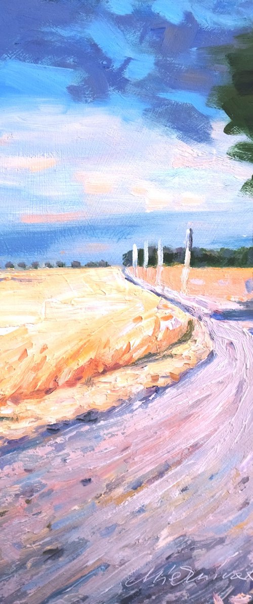 Provence fields by Richard Mierniczak