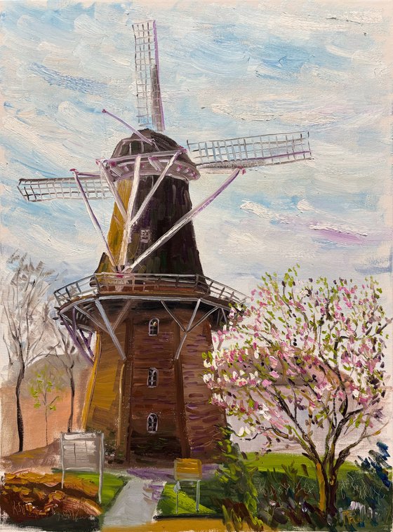 Magnolia and Historic Windmill