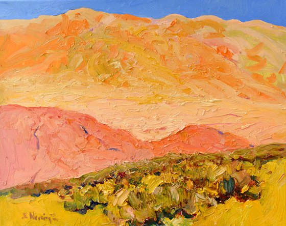 Warmth of the Desert
