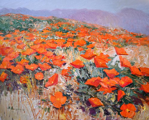 California Poppy Blossom by Suren Nersisyan