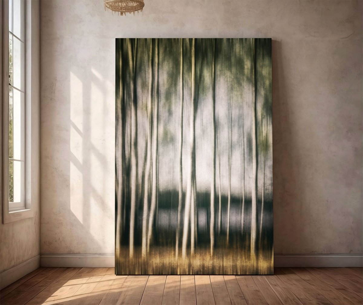 Impressionistic Landscape Photograph By Karim Carella, 35 X 51", In The Birch Stillness, Original Artwork