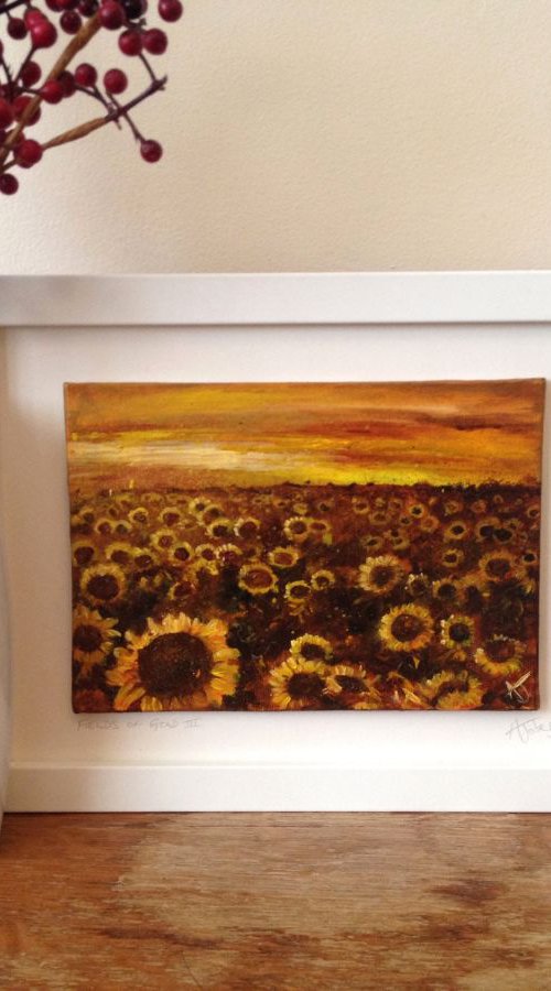 Fields of Gold III by Amy Jobes