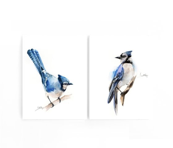 Blue jay birds watercolor painting 2 set