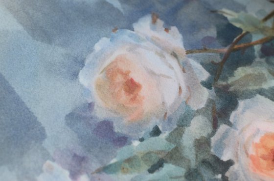 Roses and Shadows