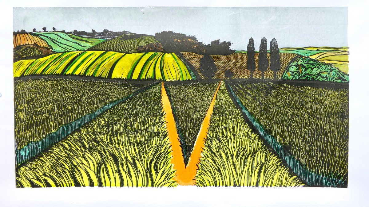 Barley above Gilling West by Keith Alexander