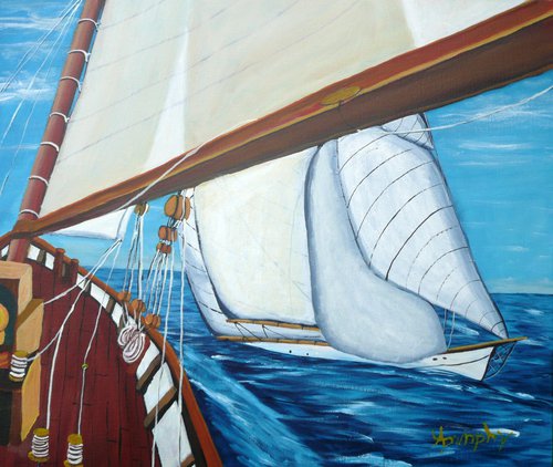 Sail Shadows by Dunphy Fine Art