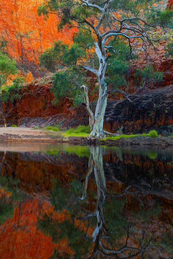 Kwartatuma Rivergum