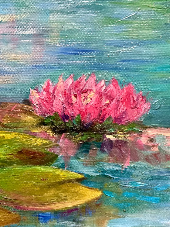 WATER LILIES