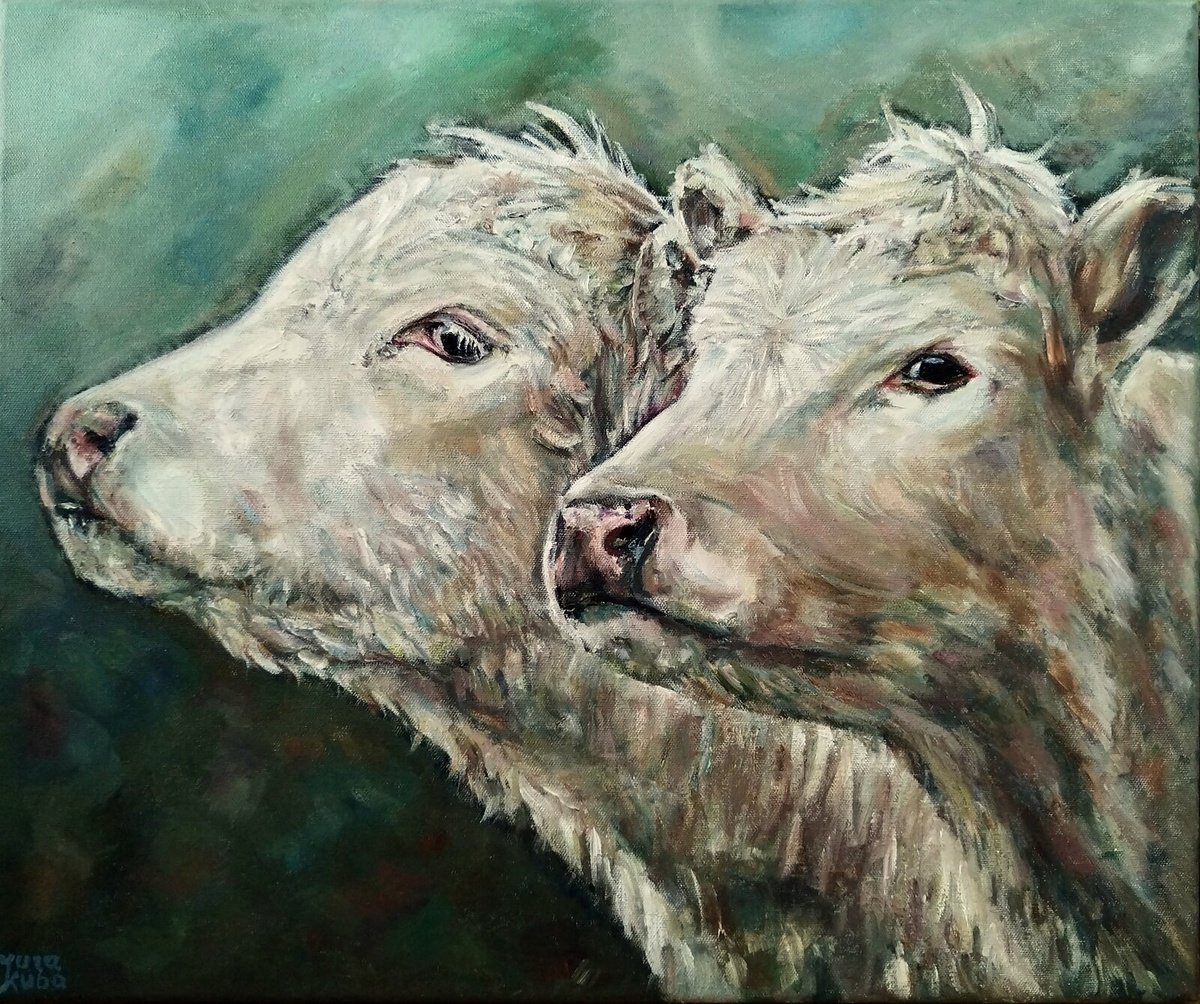 Portrait Of Two Cows by Jura Kuba Art