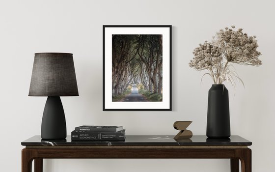 THE  FANTASTIC DARK HEDGES III
