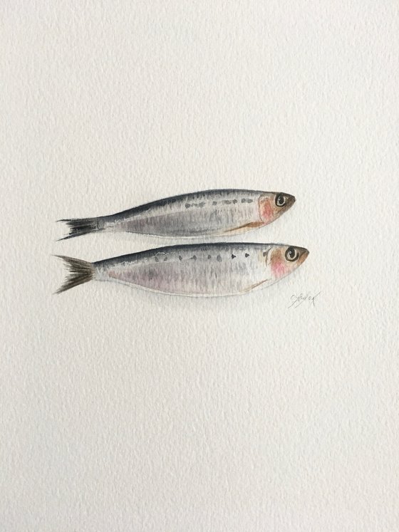 2 sardines