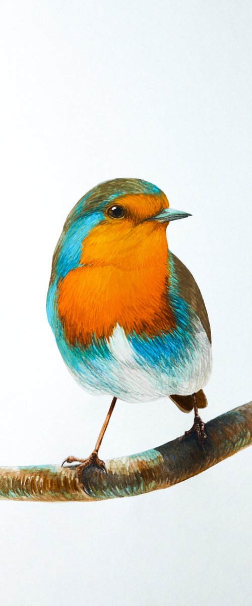 Robin on the colorful branch by Karina Danylchuk