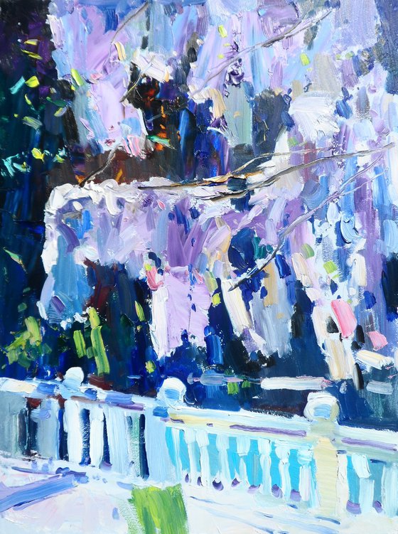 " Wisteria Flowers "