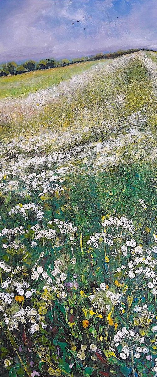 Cow Parsley Bank by Teresa Tanner