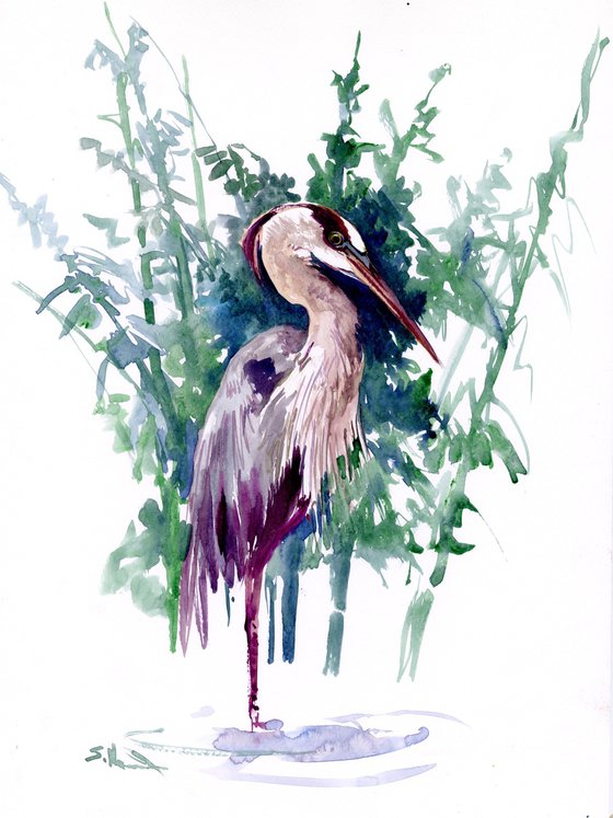 Blue Heron