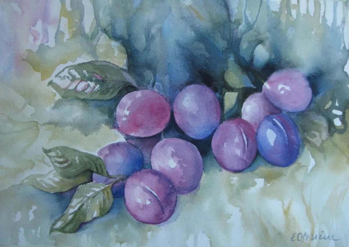 Purple plums by Elena Oleniuc