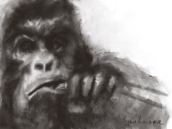 Gorilla - Lunchtime