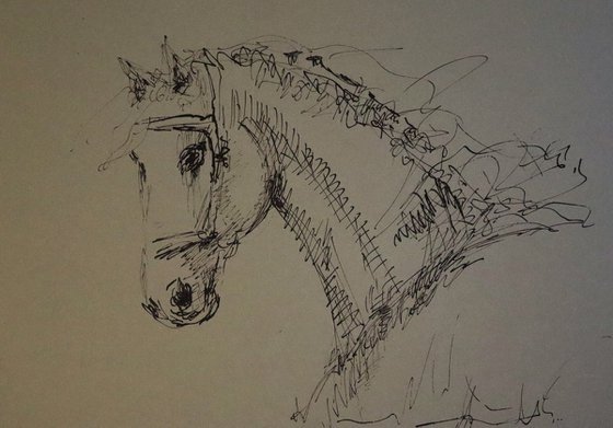Horse