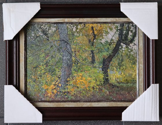 Chestnut tree in autumn. Tsaritsyno