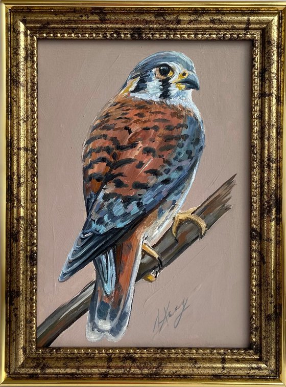 Bird Oil Painting American Kestrel framed 16x20cm 6x8inch