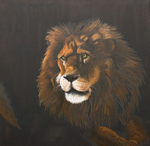 Out of the dark lion by Pauline Sharp