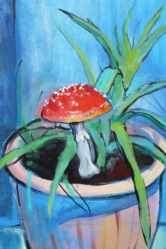 Amanita and Aloe. Relationship