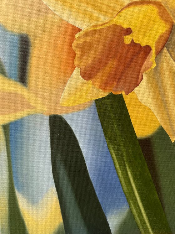 Daffodils