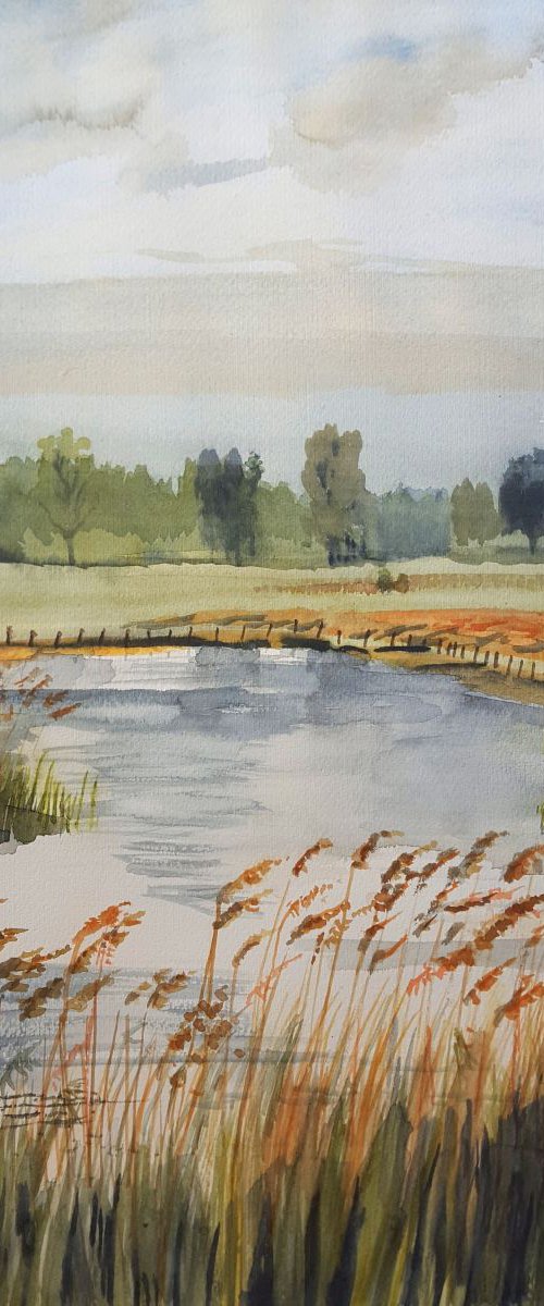 By the River, Zeeland by Morag Paul