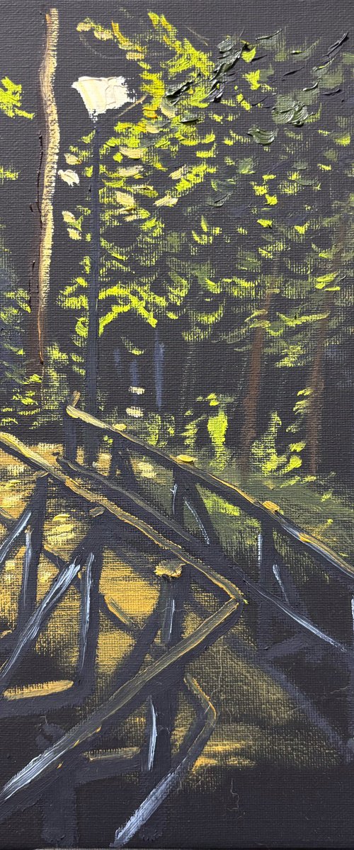 Midnight over the Forest Bridge by Dmitry Fedorov