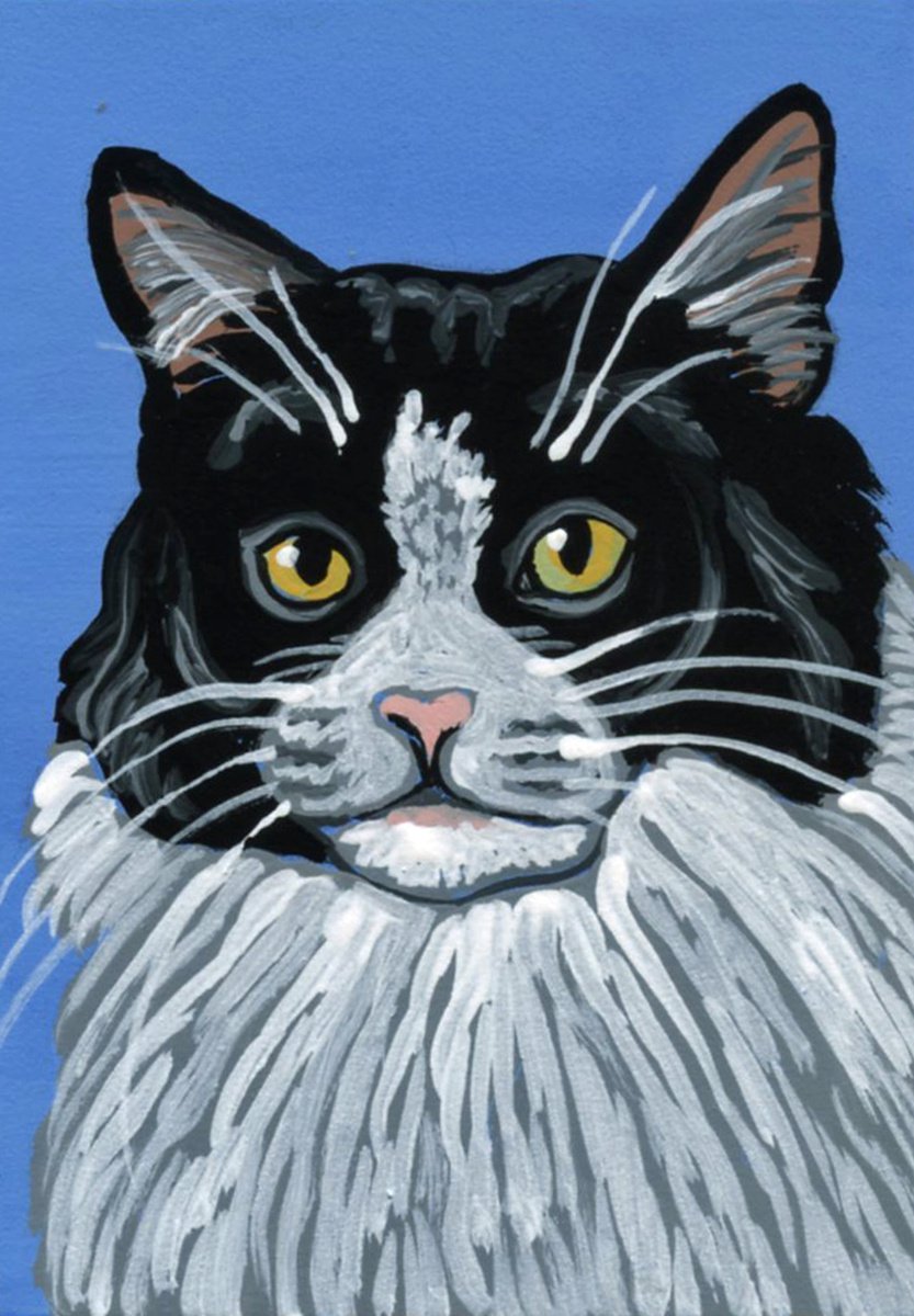 ACEO ATC Original Miniature Painting Black White Tuxedo Pet Cat Art-Carla Smale by carla smale