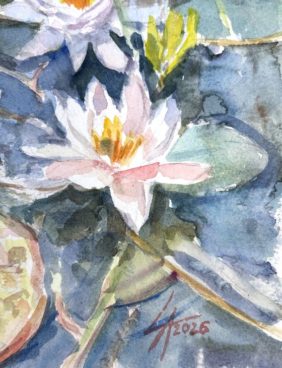 Jade water lily