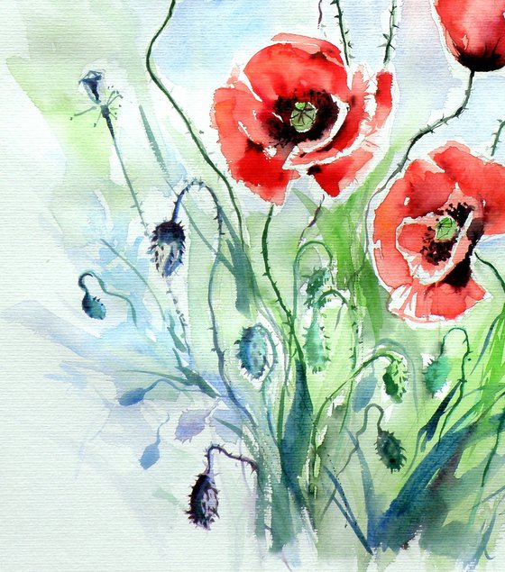 Five poppies